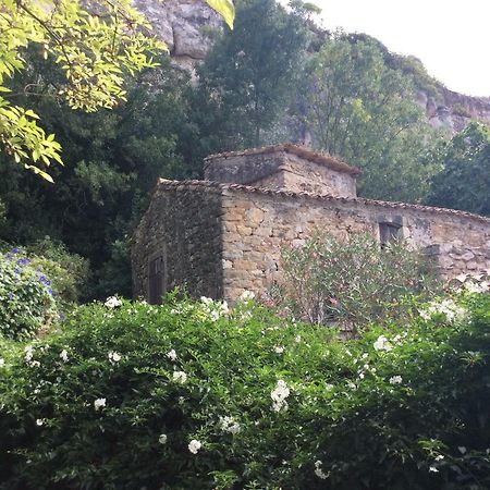 Maison Ancienne Minervois La Caunette Eksteriør bilde