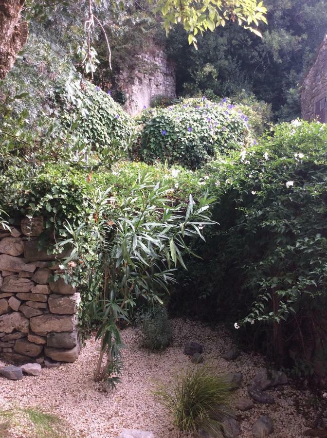 Maison Ancienne Minervois La Caunette Eksteriør bilde
